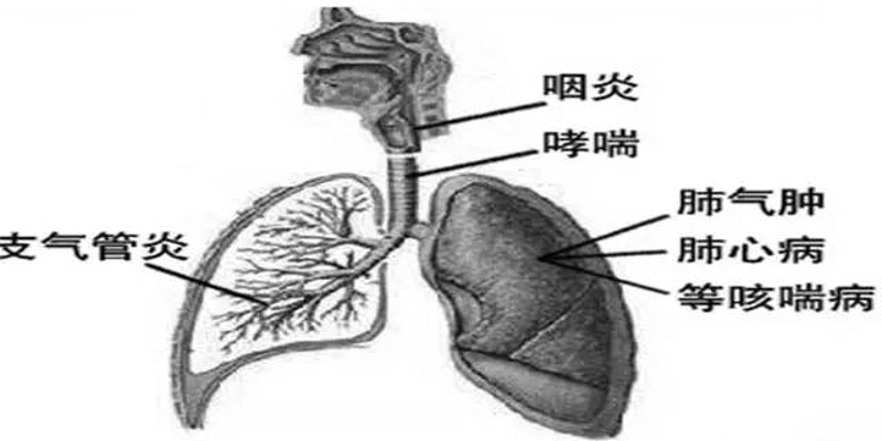 哮喘专科医院引领呼吸健康新风尚