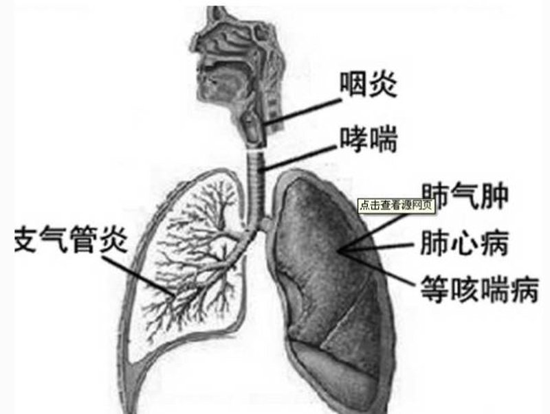 探索济南哮喘病医院：呼吸健康守护者
